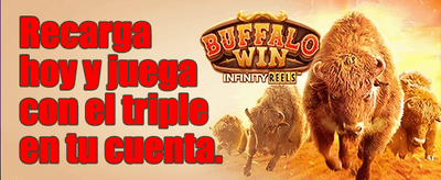 Torneo de Slots Maestro